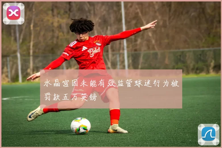 水晶宫因未能有效监管球迷行为被罚款五万英镑