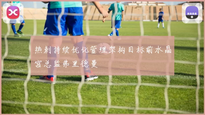 热刺持续优化管理架构目标前水晶宫总监弗里德曼