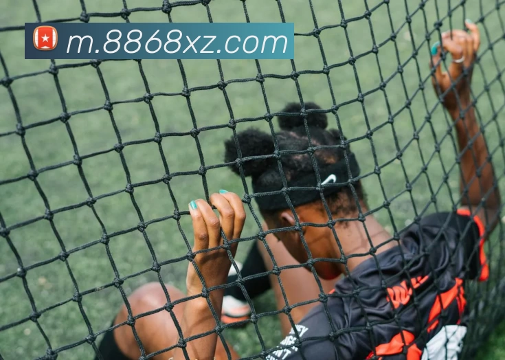 8868体育APP全站App